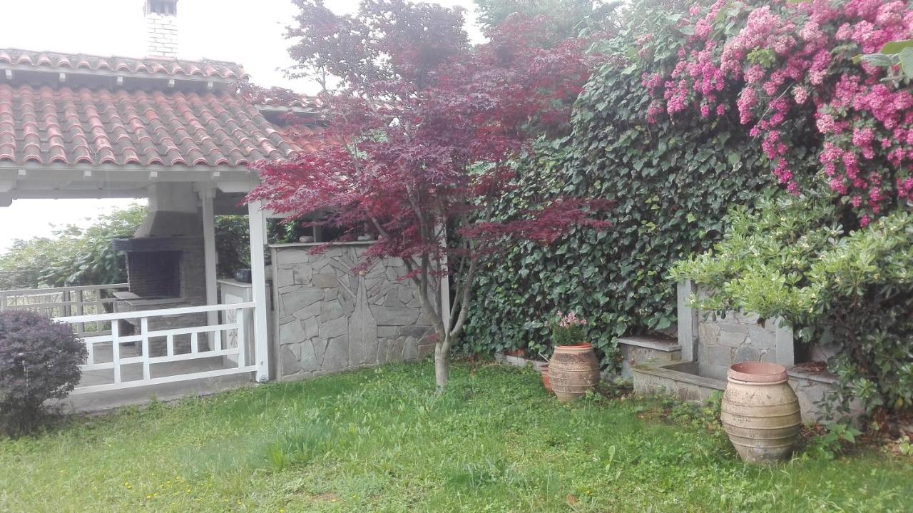 Litochoro House With A View 빌라 외부 사진