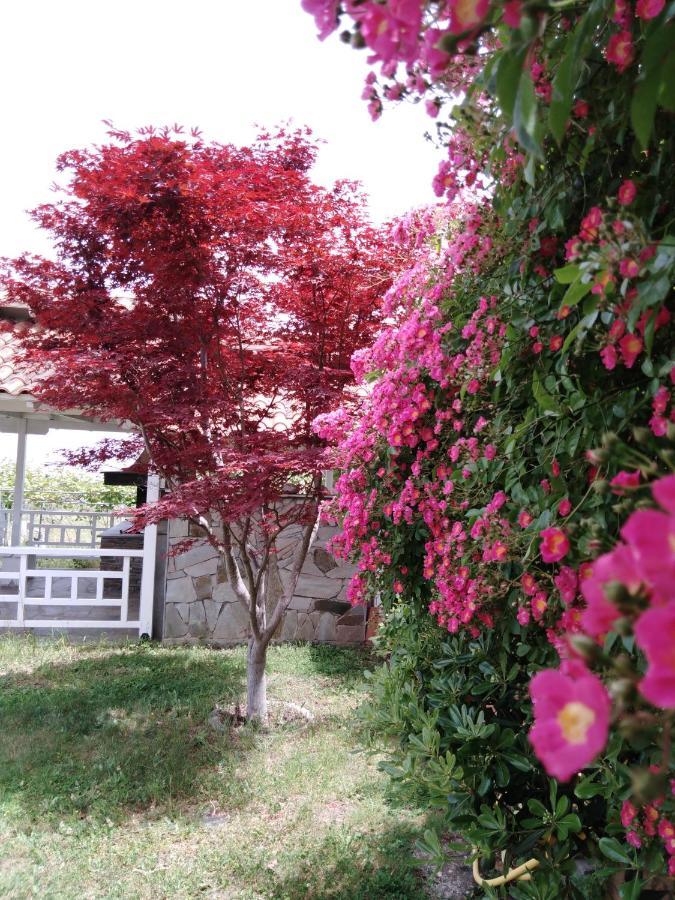 Litochoro House With A View 빌라 외부 사진